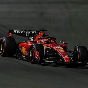 Meet your Posher, Joey